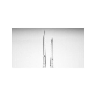 PUNTALI C/FILTRO 2-2000UL CF 960PZ