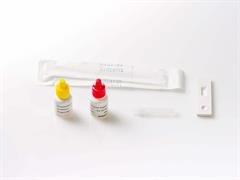 TEST RAPIDO CLAMYDIA  CF 20TEST