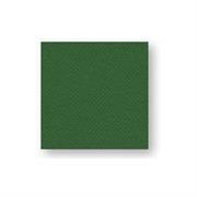 TOVAGLIOLO VERDE 38X38 (CONF. 40 PZ)