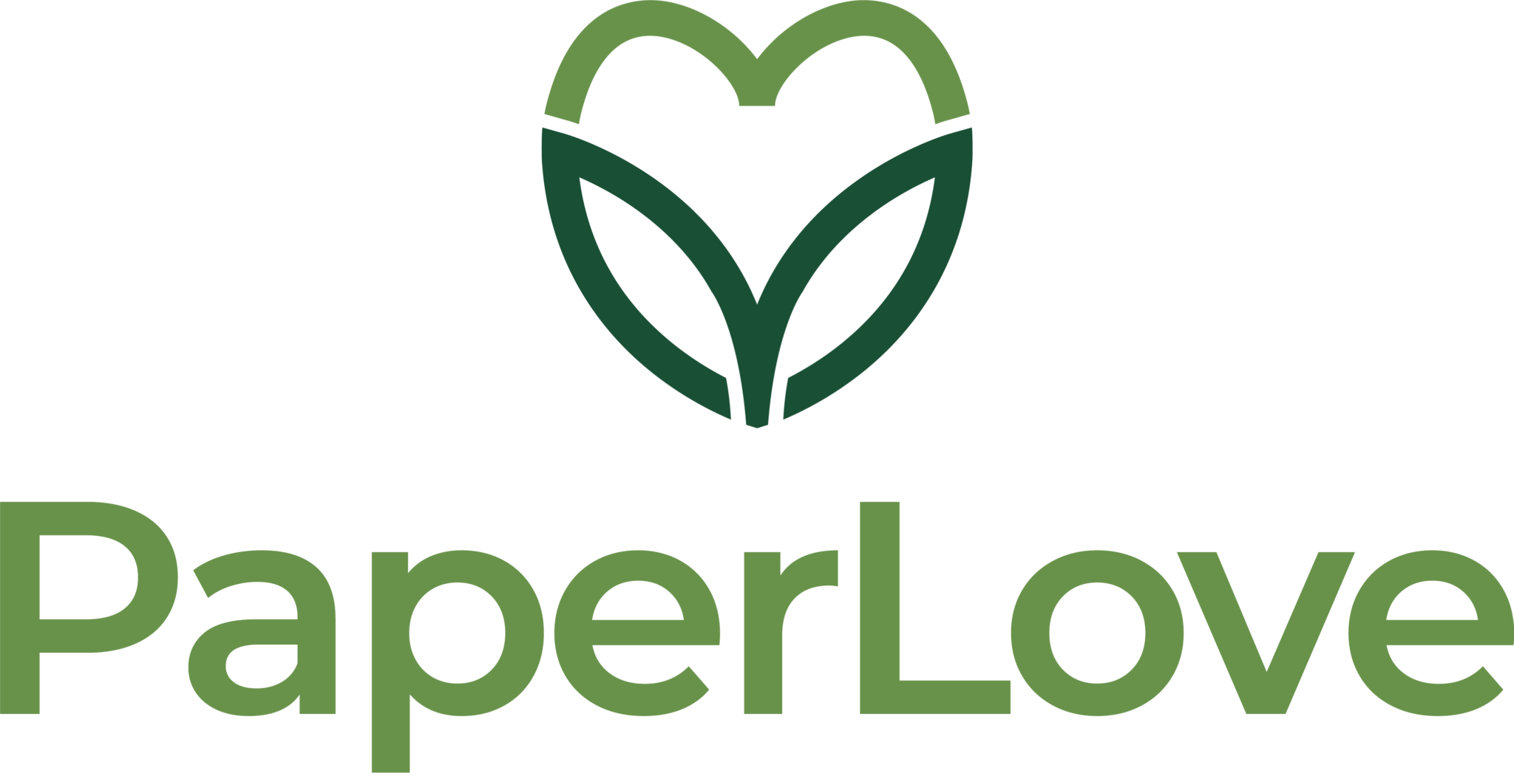 logo-transparency-e1737097062343-2048x1062